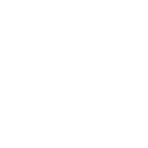 Well Woman Physio logo — women's health physiotherapy Harrogate & Wetherby